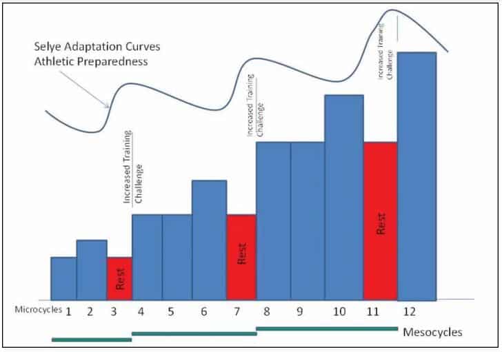 The Basics Of Program Periodization Ppsc Pain Free Performance Certification The Basics Of Program Periodization Ppsc Pain Free Performance Certification